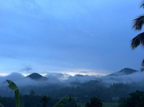Ella Twilight Valley